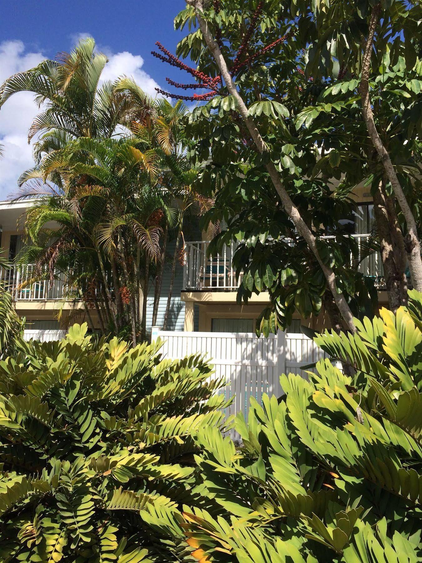 Coquina On The Beach Lido Key  Exterior foto